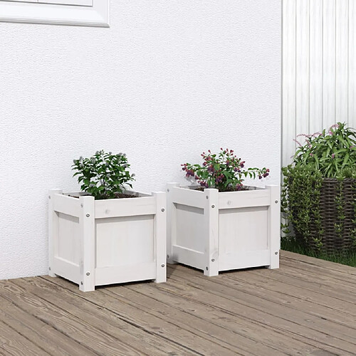 vidaXL Jardinières 2 pcs blanc bois de pin massif