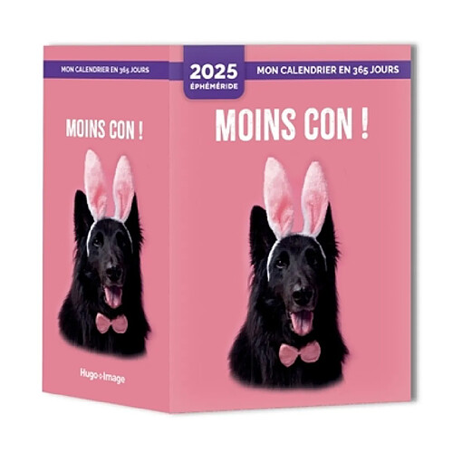 Mon calendrier 2025 : Moins con !