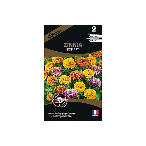 Sanrival Graines de fleurs premium Zinnia pop art