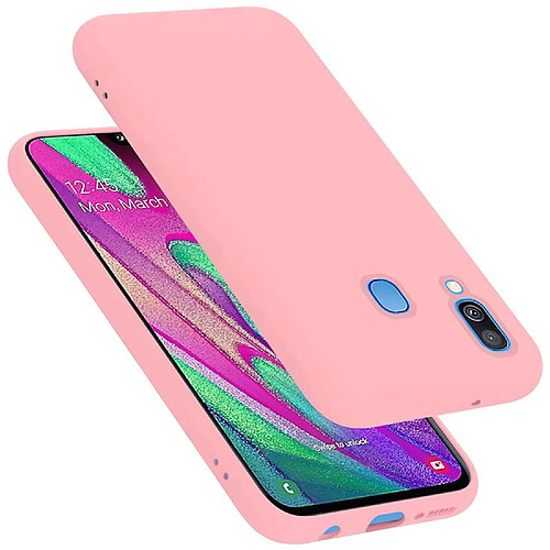 Cadorabo Coque Samsung Galaxy A40 Etui en Rose