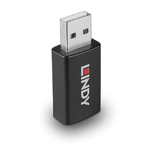 Lindy Bloqueur de données USB 2.0 Type A vers A avec Chargement de Batterie 1.2