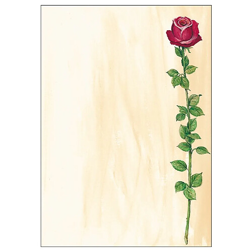 sigel Papier à motif, A4, 90 g/m2, motif 'Rose Bloom' ()