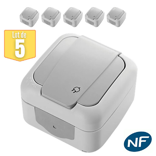 Lot de 5 Prise 2P+T étanche IP54 - Viko by Panasonic - Gris - NF