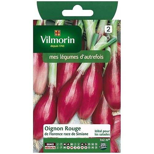 Vilmorin Sachet graines Oignon rouge de Florence race de Simiane