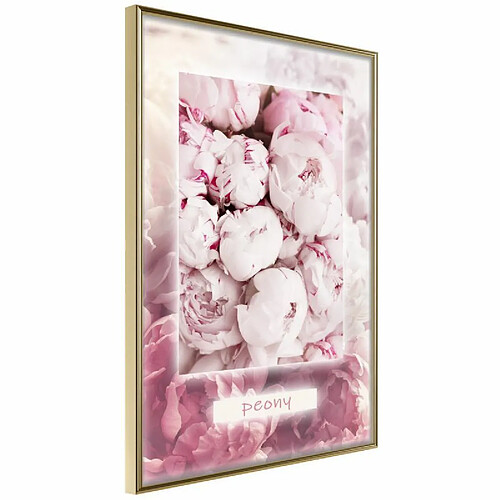 Paris Prix Affiche Murale Encadrée Scent of Peonies 30 x 45 cm Or