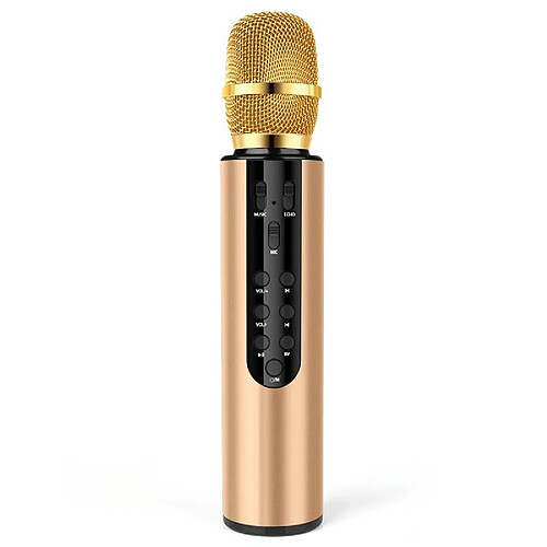 Yonis Microphone Bluetooth 5.0 Stéréo Or Puissant