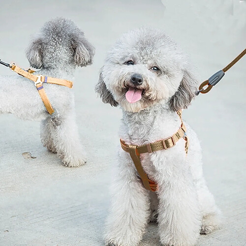 Wewoo Collier de chien + Harnais café + Laisse Trois ensembles, S, Taille de la poitrine: 34-50cm, col du col: 24-35cm, Poids de l'animal: 8kg ci-dessous