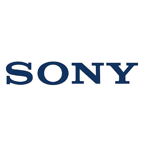 Sony WHXB910NL