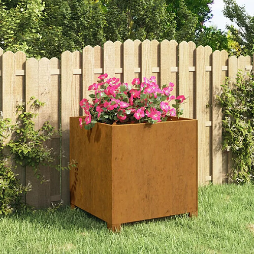 vidaXL Jardinière avec pieds Rouillé 42x40x43 cm Acier corten