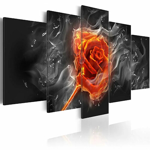 Paris Prix Tableau Imprimé Fiery Rose 100 x 200 cm