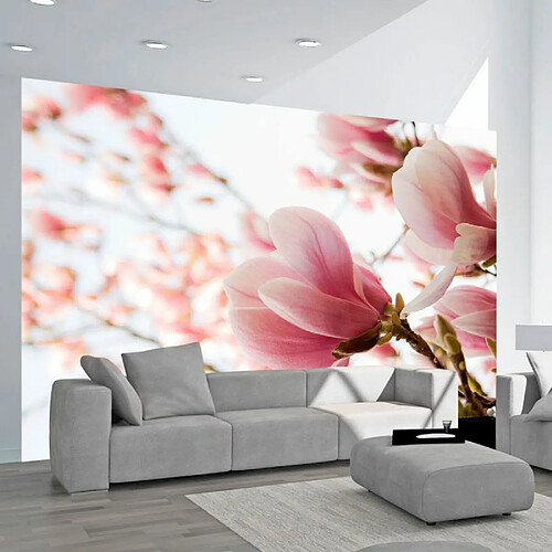 Paris Prix Papier Peint Magnolia Rose 309 x 400 cm