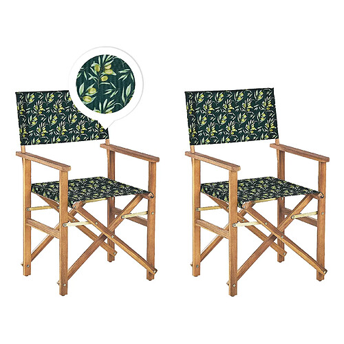 Beliani Chaise de jardin CINE Bois Vert foncé