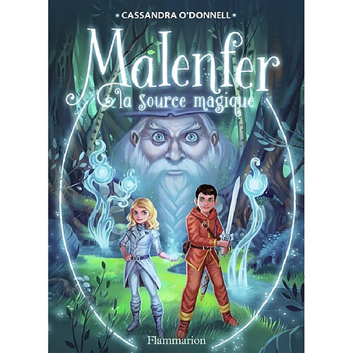 Malenfer. Vol. 2. La source magique · Occasion