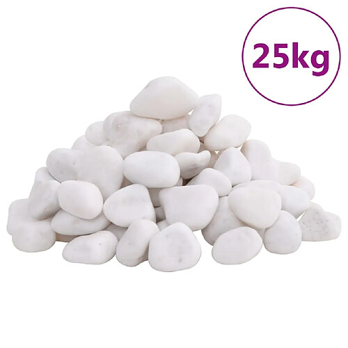 vidaXL Galets polis 25 kg blanc 2-5 cm