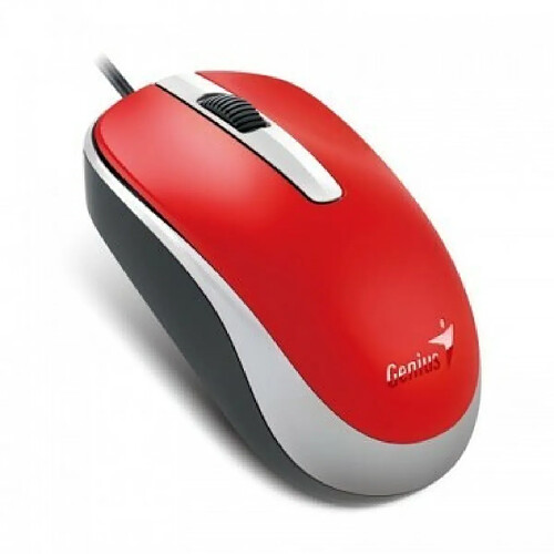 Genius DX-120 souris Ambidextre USB Type-A Optique 1000 DPI