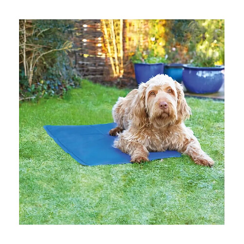 ROSEWOOD Tapis de refroidissement L - Bleu - Pour animaux de compagnie