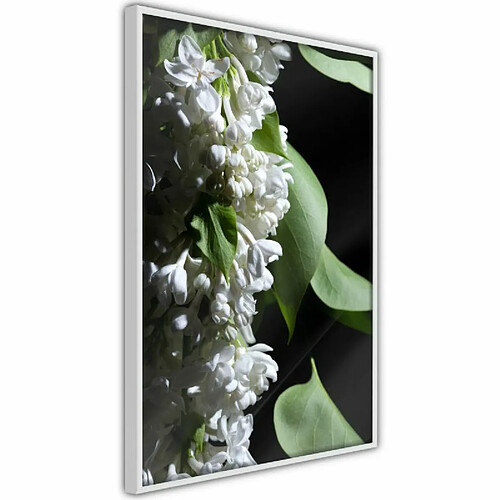 Paris Prix Affiche Murale Encadrée Fragrant Spring 20 x 30 cm Blanc