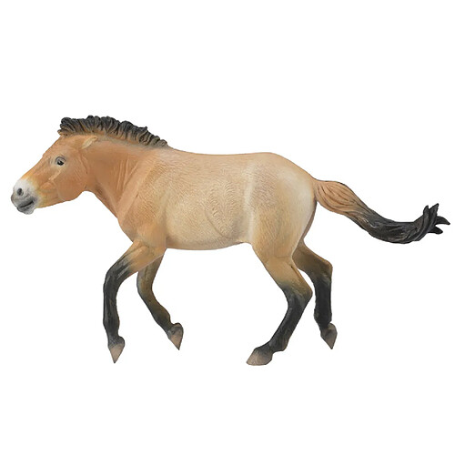 Figurines Collecta Figurine cheval : Przewalski étalon