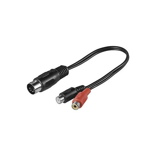 Alpexe Cable DIN vers RCA 0.2m DIN fiche 180° (5 broches) 2x prise RCA (D/G)