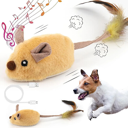 Jouet électrique pour animaux de compagnie souris pour chat souris jouet de chien en mouvement avec capteur automatique, jouets pour chiens qui couinent