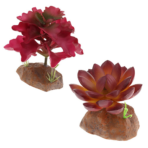 2 Pcs Plante Succulente Avec Base De Résine Reptile Terrarium Vivarium Ornement Vivarium