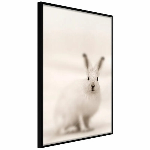 Paris Prix Affiche Murale Encadrée Curious Rabbit 40 x 60 cm Noir