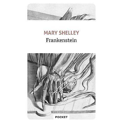 Frankenstein ou Le Prométhée moderne · Occasion