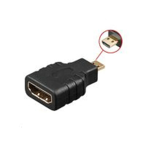 Disney Microconnect HDM19F19MM adaptateur et connecteur de câbles