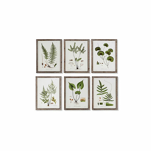 Cadre DKD Home Decor Fleurs Moderne (30 x 1,8 x 40 cm) (6 Unités)