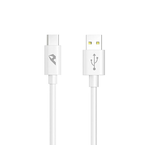 Câble USB A vers USB C Home YCB-02 (1 m)