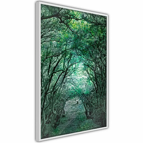 Paris Prix Affiche Murale Encadrée Tree Tunnel 30 x 45 cm Blanc