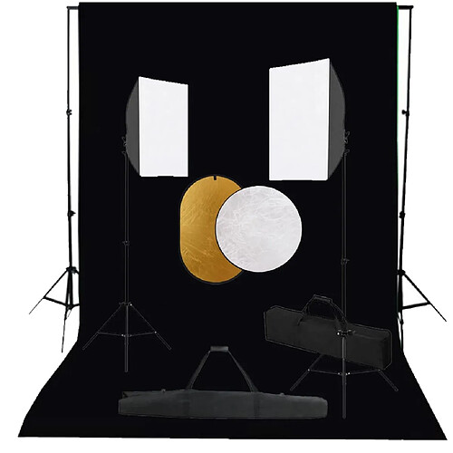 vidaXL Kit de studio photo boîtes à lumière toile de fond réflecteur