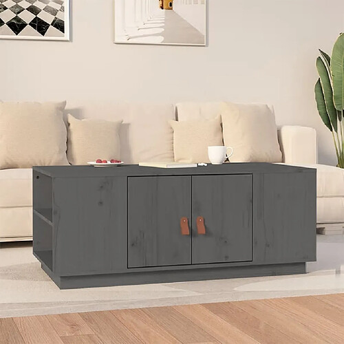 vidaXL Table basse Gris 100x50x41 cm Bois massif de pin