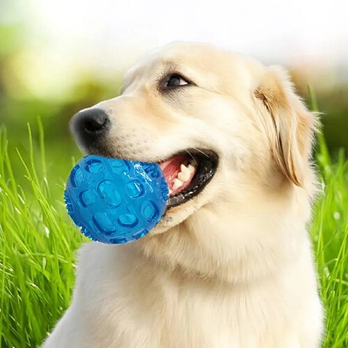 Wewoo Jouet pour Animaux de sondage d'animal familier balle élastique Oren Retriever Puppy Molar morsure résistant à la dent jouet, taille: 8 * 8 cm, livraison aléatoire de couleur