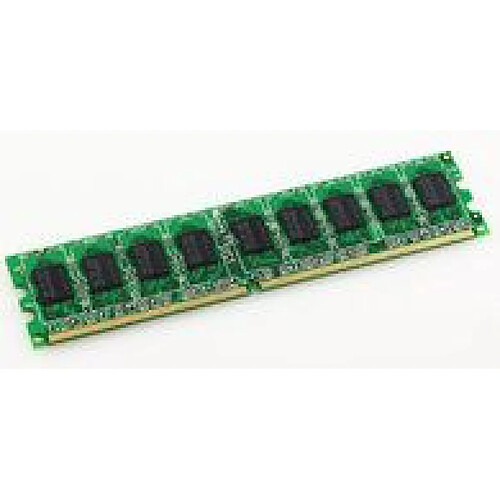 Because Music MicroMemory 2GB DDR2 533Mhz ECC 2Go DDR2 533MHz ECC module de mémoire