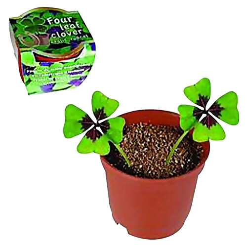 Totalcadeau Trèfle à 4 feuilles à planter avec 2 bulbes en pot