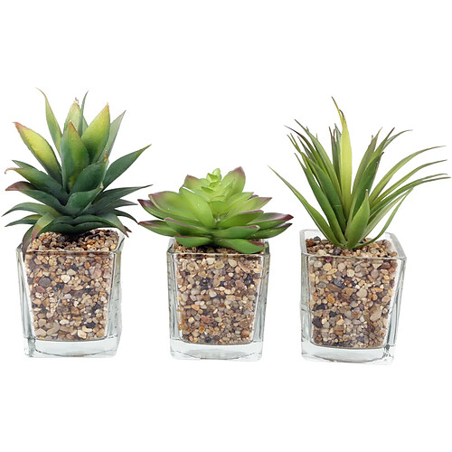 Sil Plantes artificielles dans pot en verre 6.5 x 6.5 x 17 cm (Lot de 3).