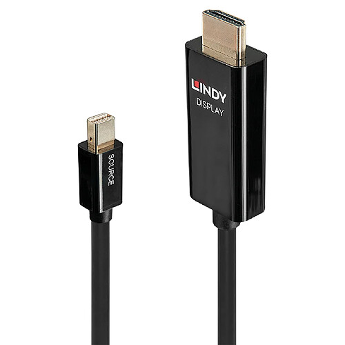 Lindy 40911 câble vidéo et adaptateur 1 m Mini DisplayPort HDMI Type A (Standard) Noir