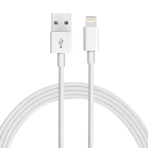 Platyne Cable Usb Vers Lightning 1 Metre