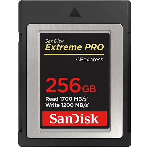 Carte mémoire Sandisk Extreme Pro 256 Go CompactFlash