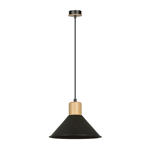 EPIKASA Suspension Rowen, Noir, Acier, 25x100x25 cm