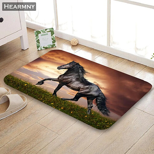 Universal Tapis de Porte - Tapis de Cheval