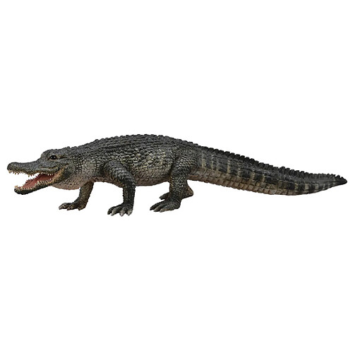 CollectA Wildlife Figurine alligator américain – Modèle de reptile authentique peint à la main