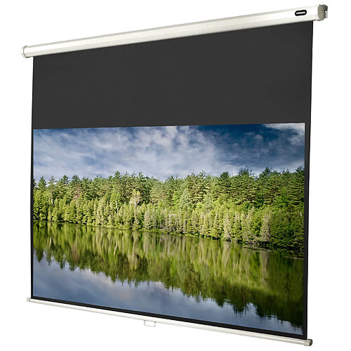 Ecran de projection celexon Manuel Economy 240 x 135 cm