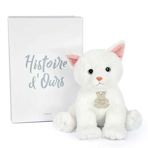 Histoire D'Ours Bébé Chat