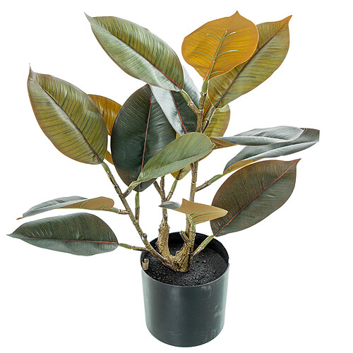 Plante décorative Alexandra House Living Plastique Chêne 50 cm