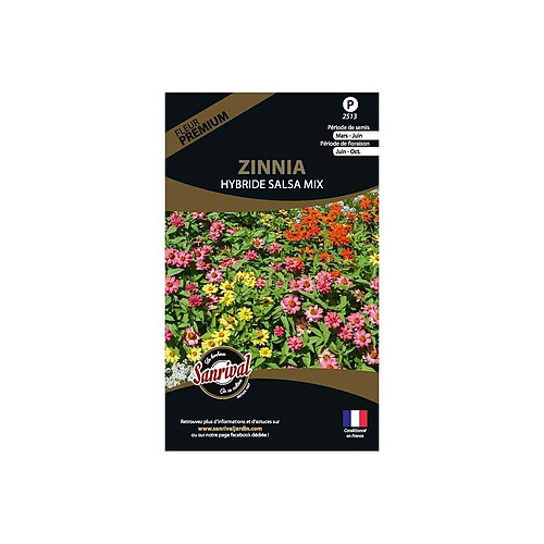 Sanrival Graines de fleurs premium zinnia hybride salsa mix