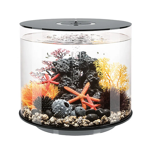 Aquarium décoratif 35l avec cadre noir - Tube 35 MCR black - OASE