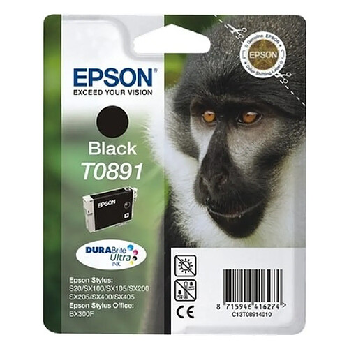 Epson Singe Cartouche Noir C13T08914010 (T0891)