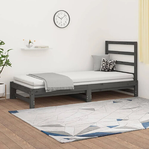 vidaXL Lit coulissant sans matelas gris 2x(90x200) cm